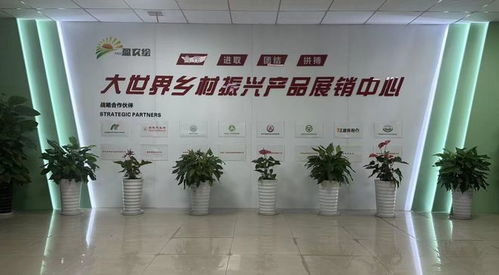 面對(duì)面問(wèn)需于企 心貼心排憂(yōu)解難 技術(shù)咨詢(xún)?yōu)槠髽I(yè)發(fā)展注入新動(dòng)力